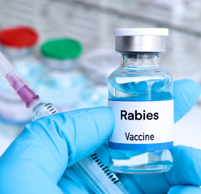 Positive rabies case reported in Henderson near Cool Spring Rd.