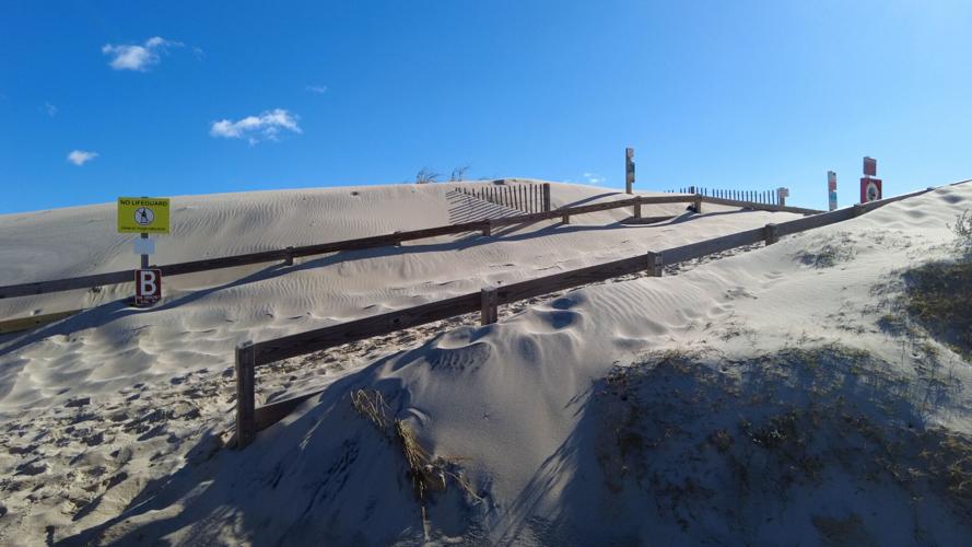 Assateague Dunes Show Too Much Sand