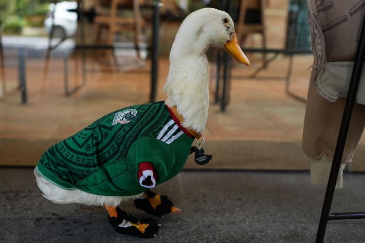 Mexico WCup Mascot