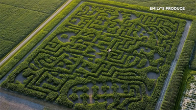 Emily's Produce Supports Farmers with Massive Maze Message