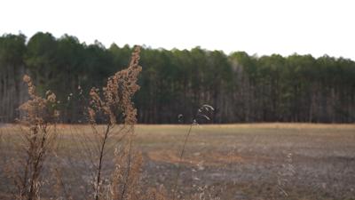 Empty Field Ice Arena Georgetown