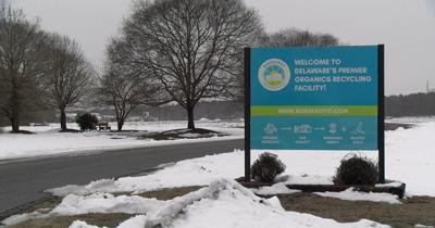 Bioenergy Devco in Seaford