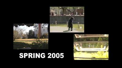 Travels With Charlie: Life in the Spring of 2005