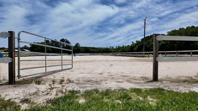Horse Arena