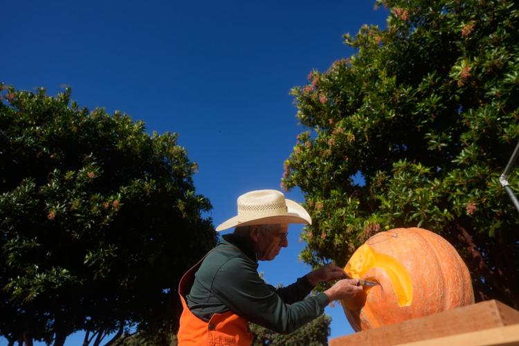Picasso Pumpkin Carver