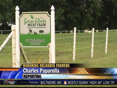 HON DEL FARM 0729.mxf.00_01_52_12.Still001