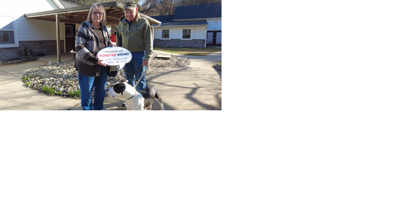 Hundreds Find Forever Homes in Brandywine Valley SPCA's Winter Mega Adoption Event - Vimarsana News