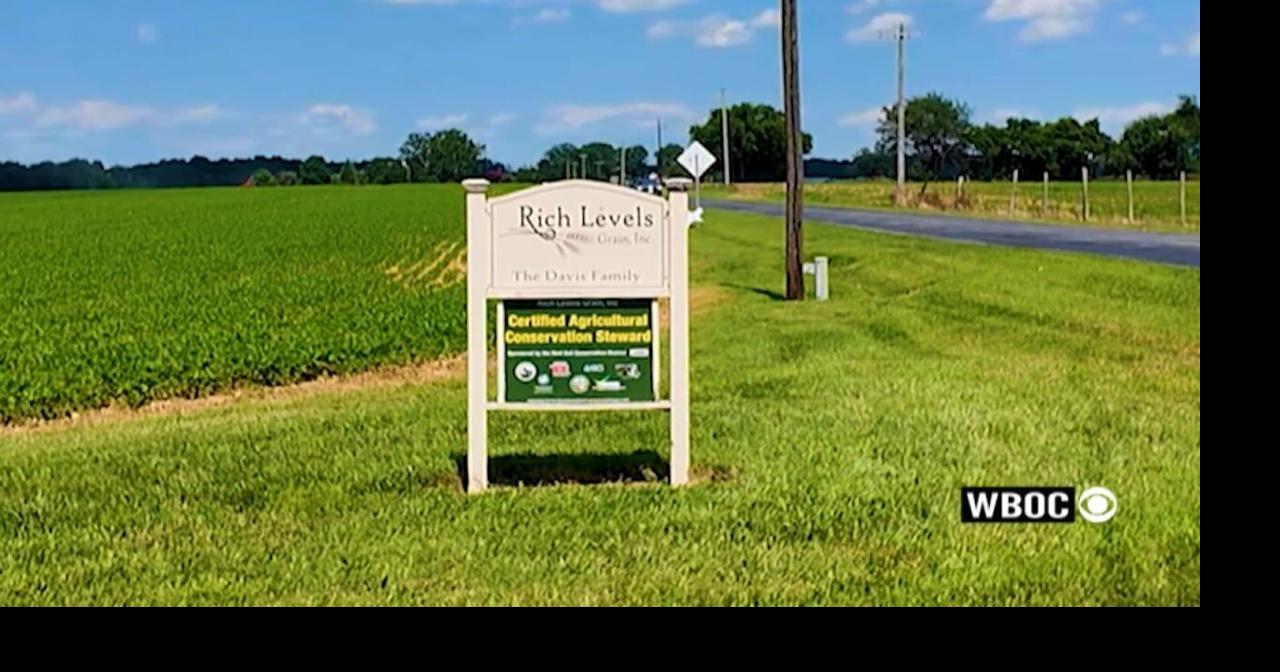 Farming Our Future: Rich Level Grains