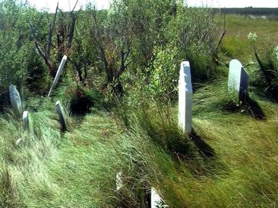 Recent SU Grad Looking For All Gravesites in Dorchester County