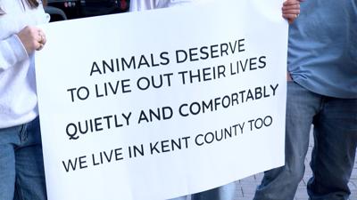 Animal Sanctuary