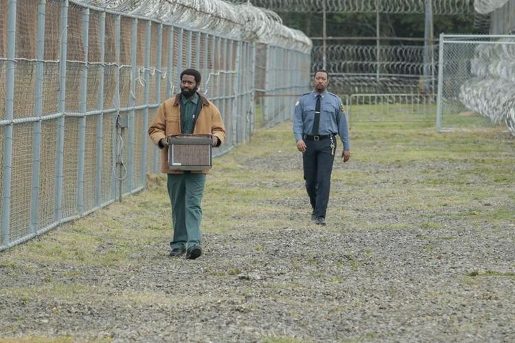 The M Report: Top Ten TV Shows of 2021