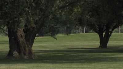 Vote on Osprey Point Development Deferred