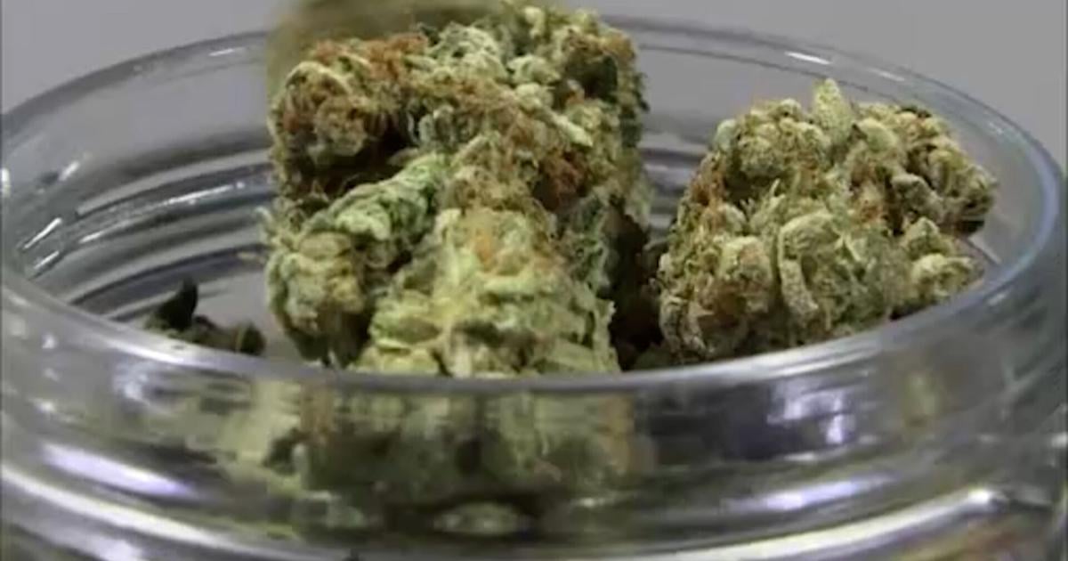 An updated blueprint for cannabis in Talbot County