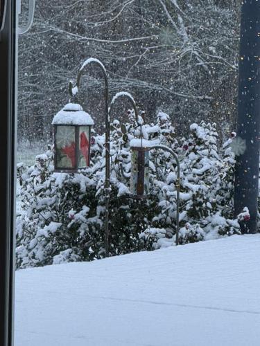 Rose Taylor Pocomoke.jpg