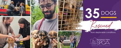 Brandywine Valley SPCA 35 Dogs
