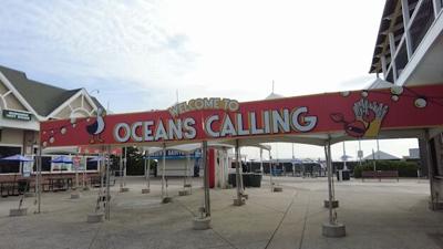 Oceans Calling