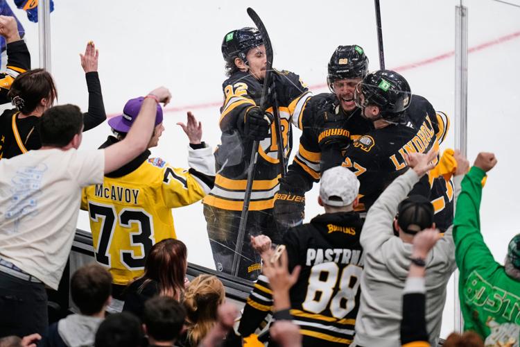 Sabres Bruins Hockey