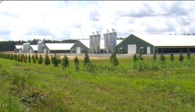 Somerset County Approves New Poultry House Regulations