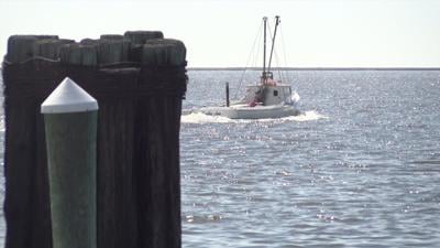 WBOC's 65 Anniversary: A Look Back at Seafood in 1954