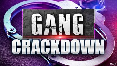 Gang Crackdown Generic