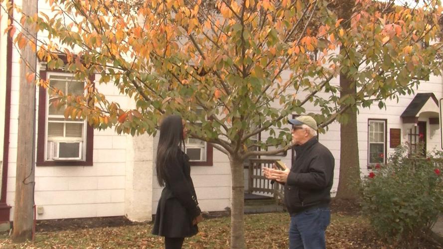 Shameful Past: Lynchings on Delmarva- James Taylor Lynched in Kent County, Md. in 1892