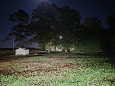 A photo of burn damage from a fire that spread to nearby grass and cars.