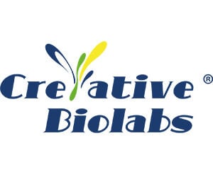 Creative Biolabs Enhances Preclinical Antibody Discovery Services for S. aureus and MRSA AAC Development