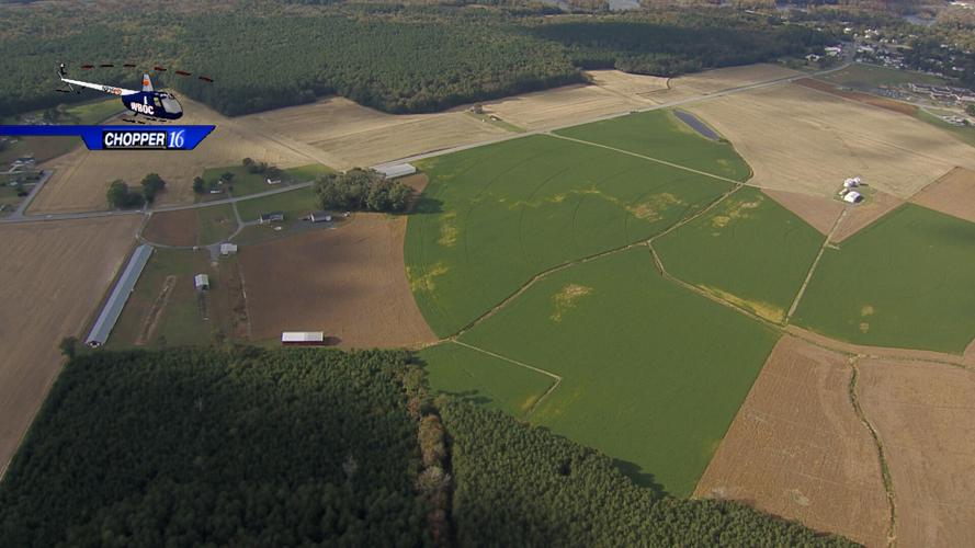 Surrounding Farmland