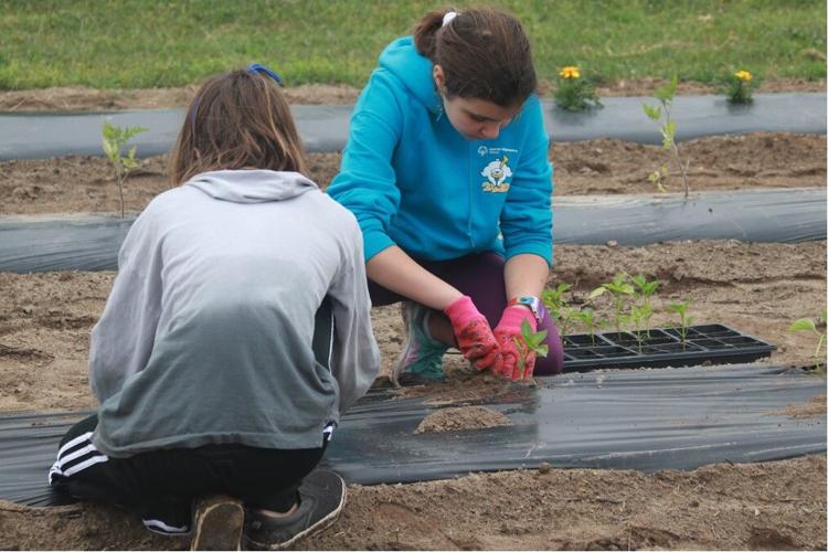 D26EFE9DD7964AFC8A66A340F966AFE3