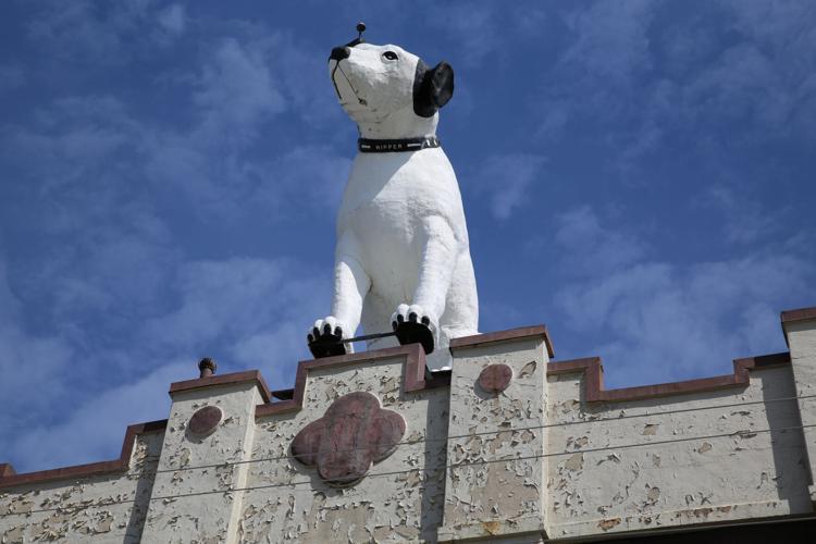 Giant Dog Statue