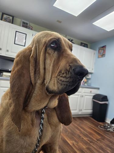 20260102_113937 (1).jpg