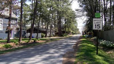 Trees in Dewey Beach