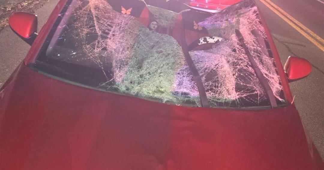 One injured, two cars heavily damaged in crash involving a deer