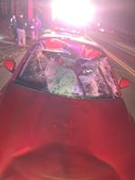 millsboro deer accident 1