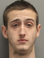 Traffic Stop Leads to Drug and Weapon Charges