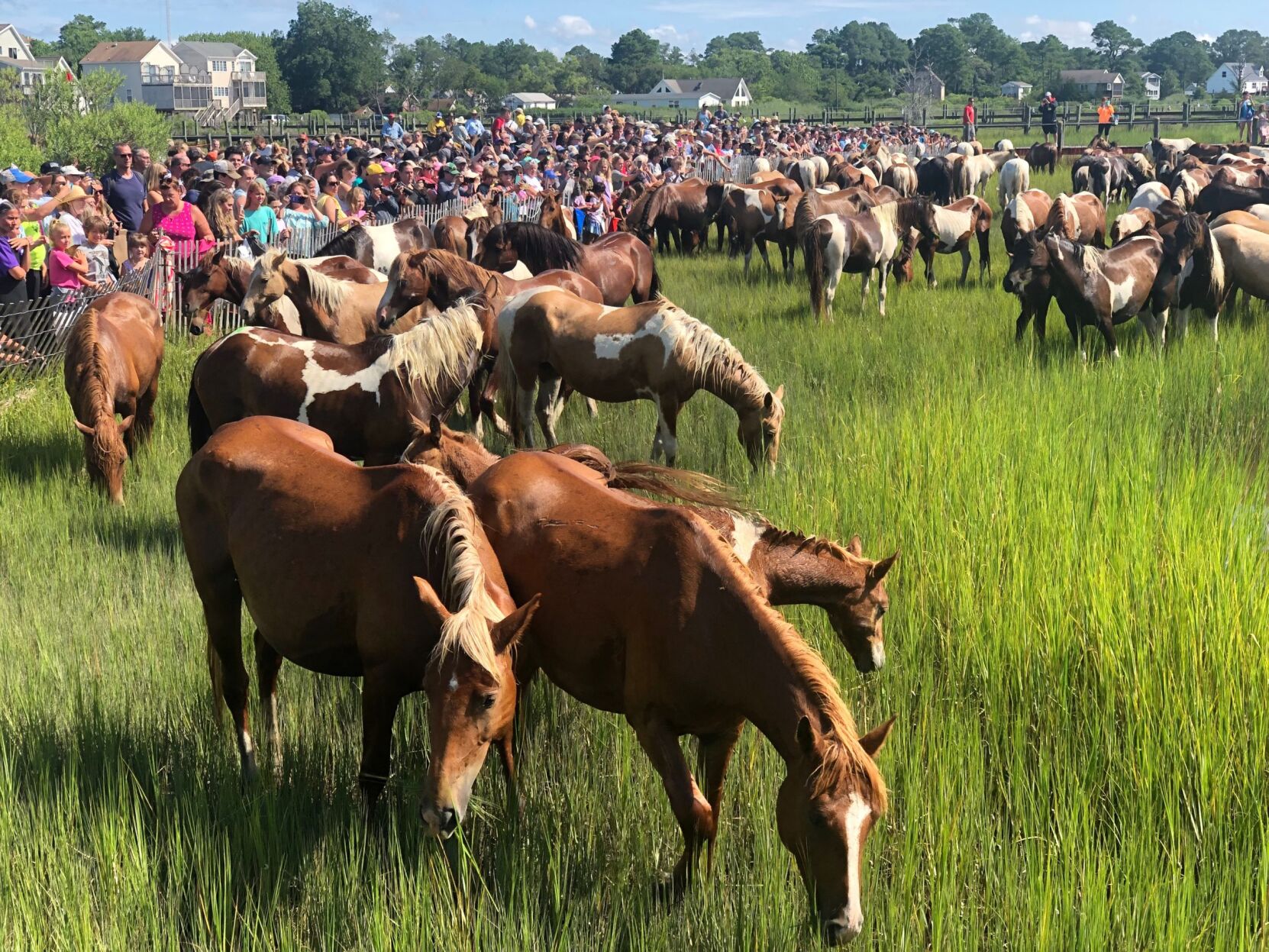 What’s Happening Today — August 6, 2021 | Delmarvalife | Wboc.com