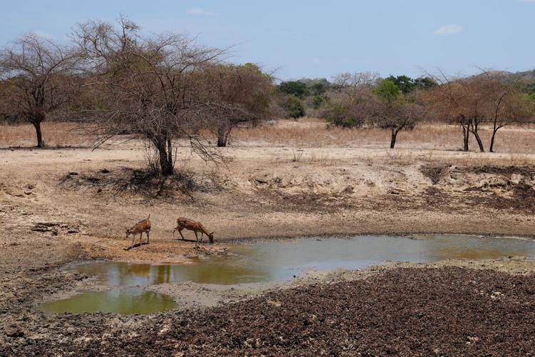 Climate Sri Lanka Drought