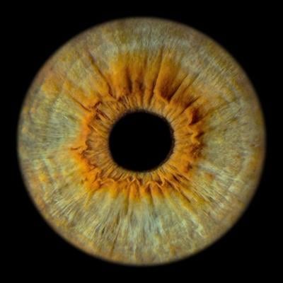 Sol Iris Photography Launches Capture & Send, Bringing Fine-Art Iris Portraits to Anyone with an iPhone