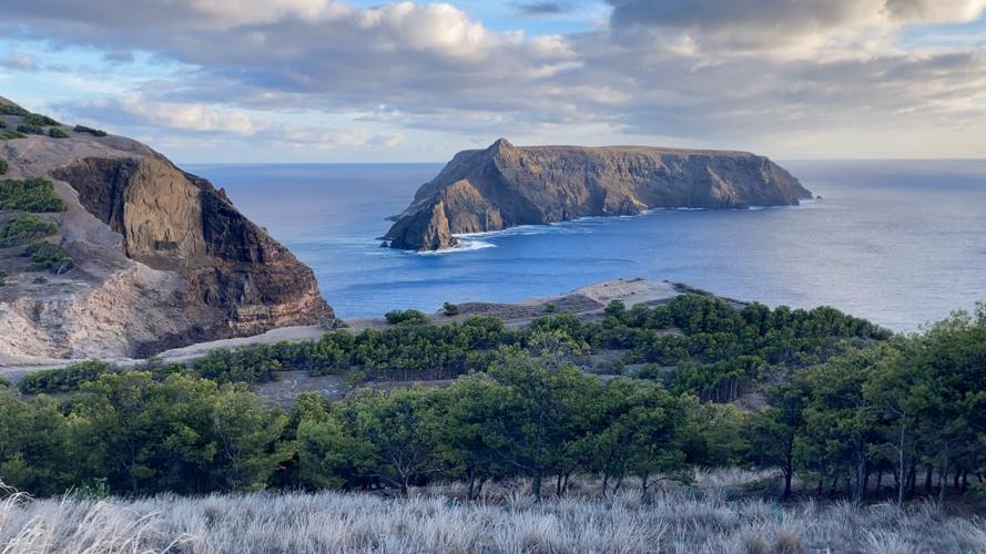 OCFF 2022 – Environmental & Aquatic Shorts