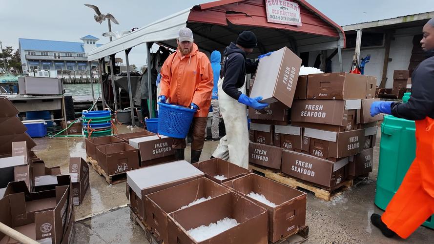 West Ocean City Commercial Harbor