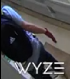 DSPBurglary2.png