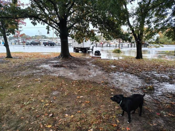 Tilghman Island, Md.