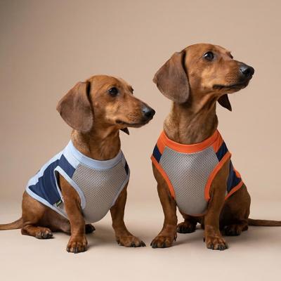 Fitwarm Celebrates the Everyday Moments That Make Dogs Family This National Dog Day