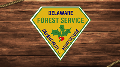 Delaware Forest Service Outdoors