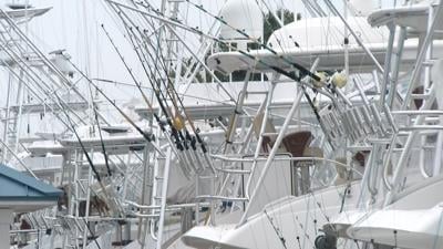 Boats at Sunset Marina