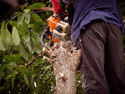 Dump Trailers for Tree Debris Removal: Top Features Highlighted By MO Dealers