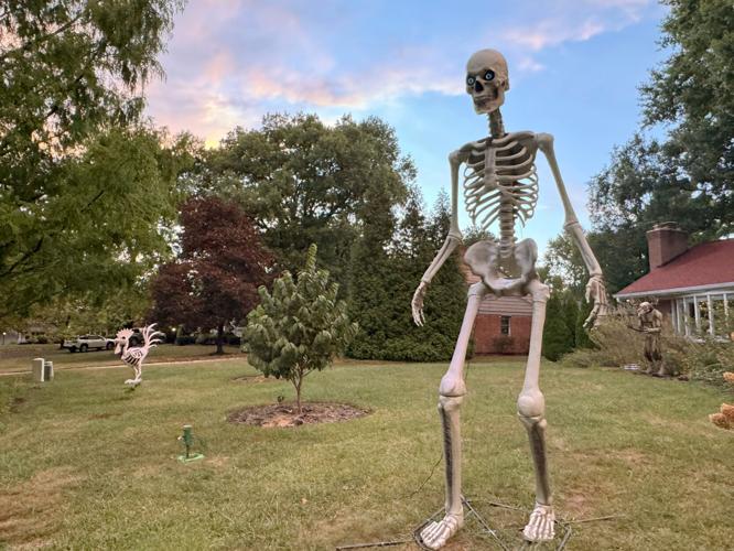 America 250 Objects Giant Skeleton