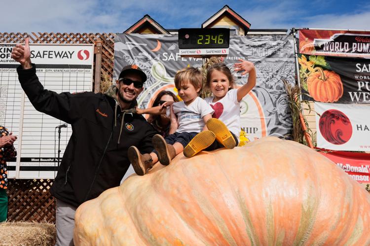 Giant Pumpkin Contest