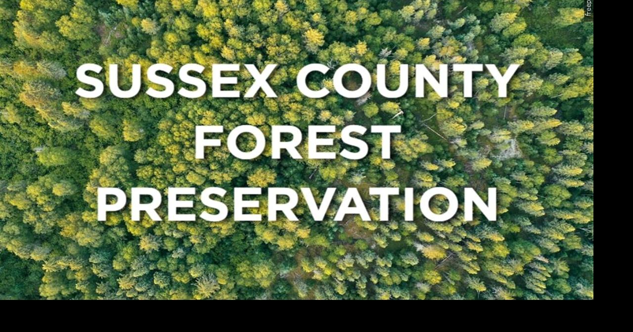 Sussex County sets new rules to protect forests amid new developing