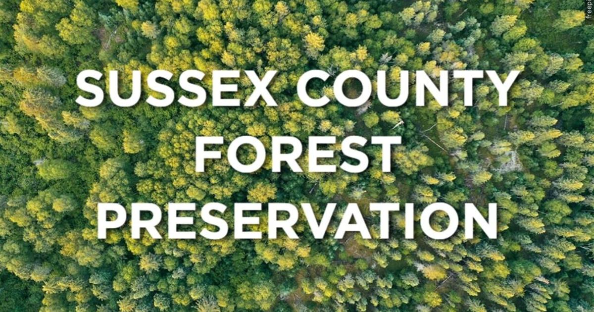 Sussex County sets new rules to protect forests amid new developing